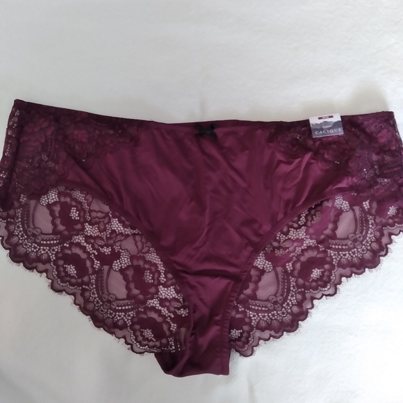 Lot of Lane bryant panties - Picture 6 of 8